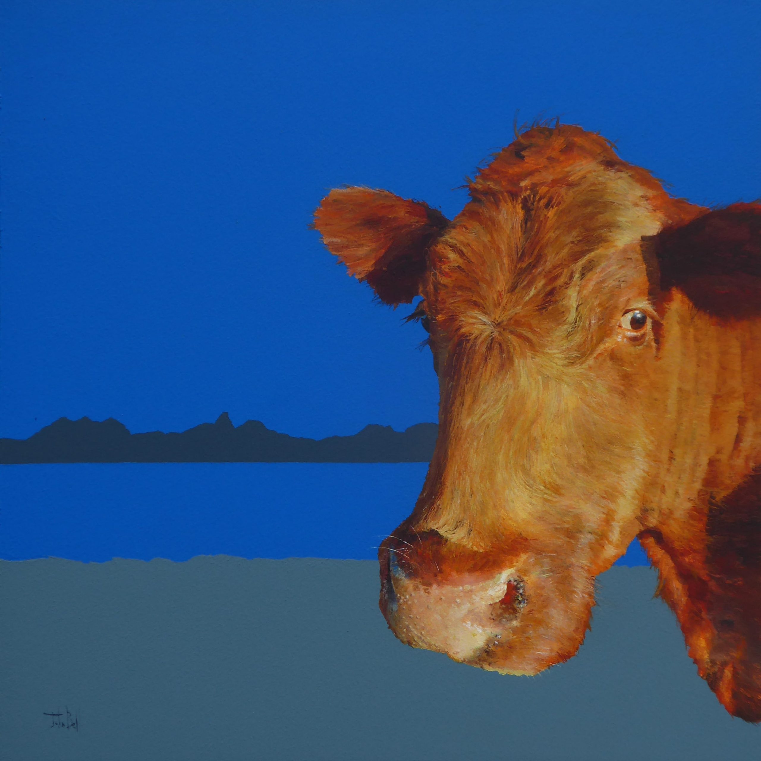 Achnahaird Moo (size 18 x 18 inches) (1)-min