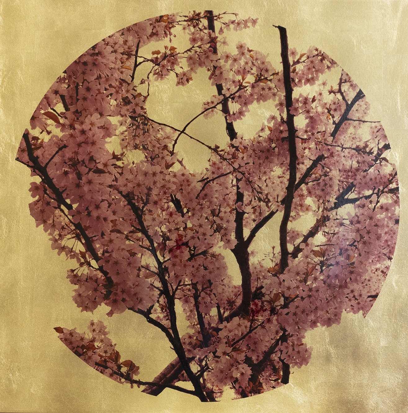 Prunus Sakura Circular 80x80cm £920jpg (1)-min