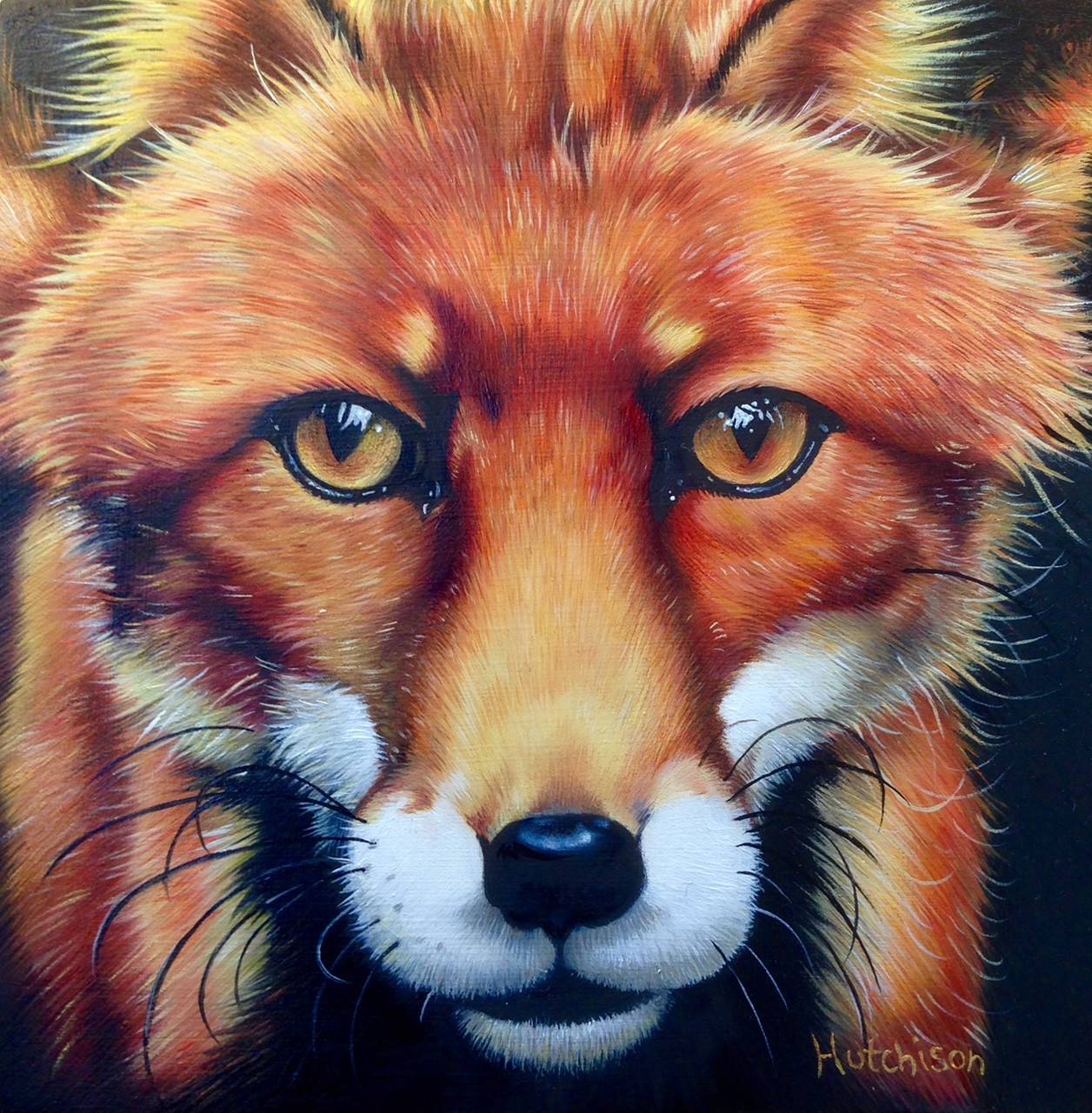 Susan_Hutchison_Mr_Fox-min