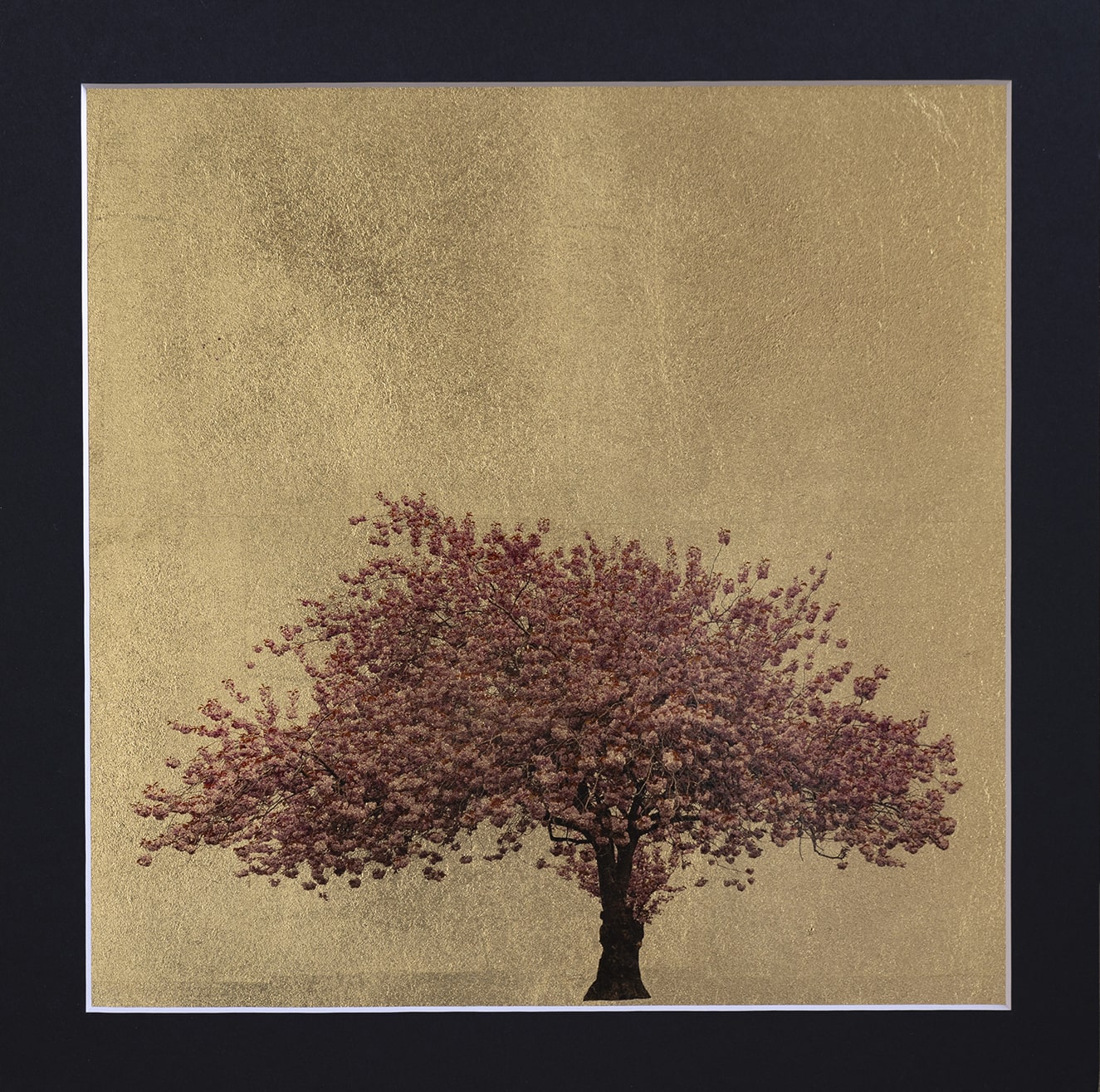 Prunus Serrulata XII 30x30cm-min