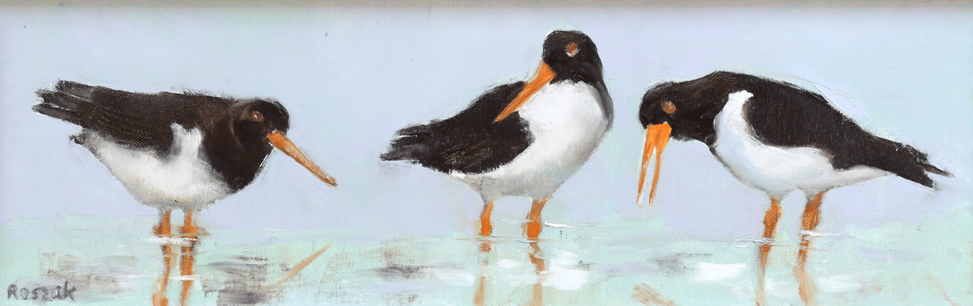 Basia_Roszak_Oyster_Catchers-min